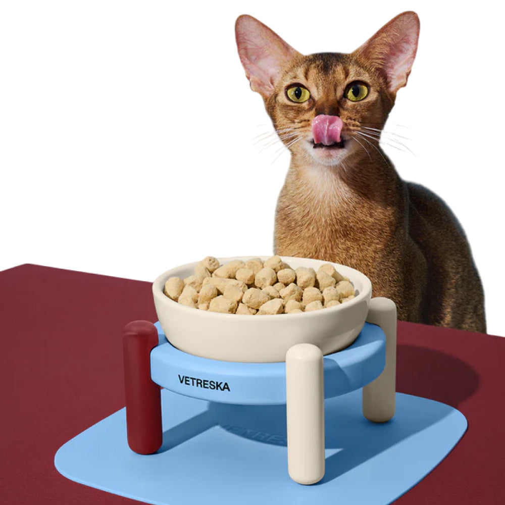 Mist and Merlot Ceramic Pet Bowl & Mat Set - Image 5