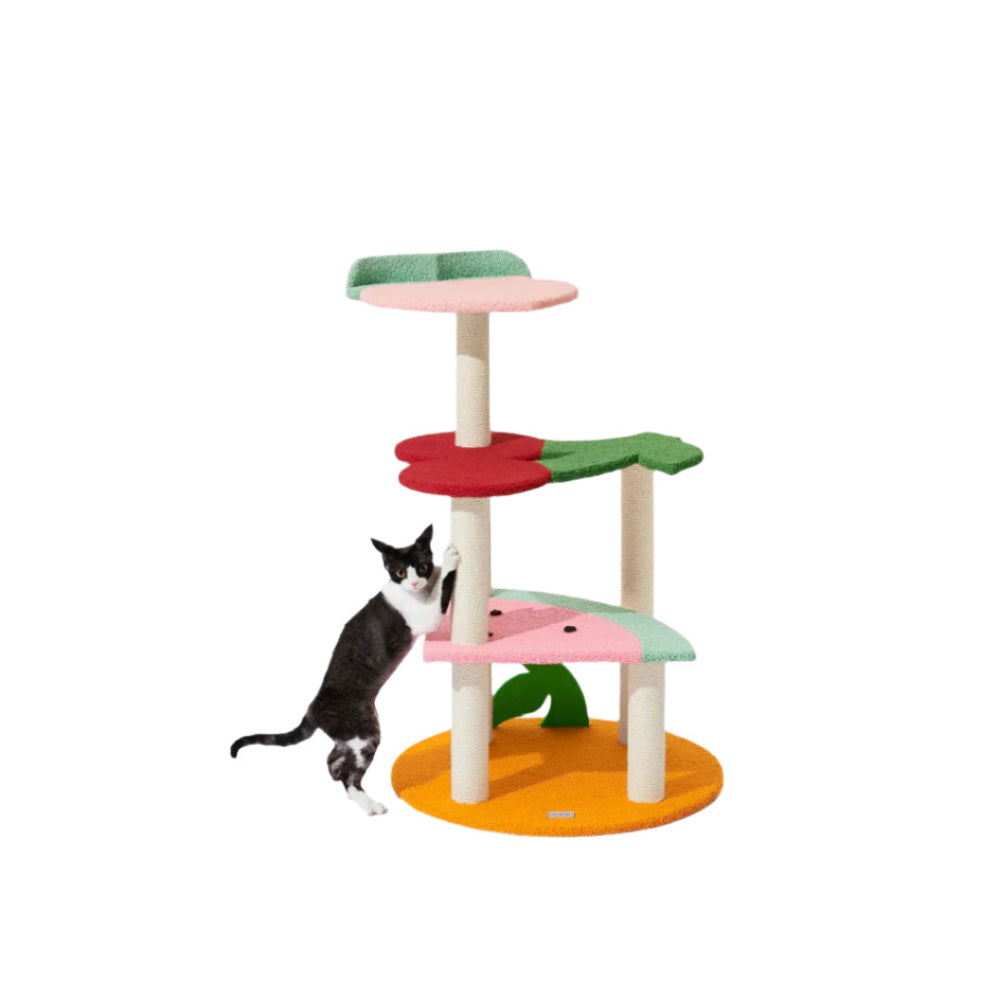 Fruit Frenzy Cat Climber - Image 2