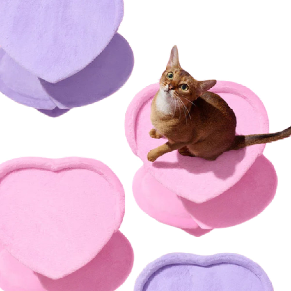 Heartpurrple Four Platforms Cat Tree - Image 9