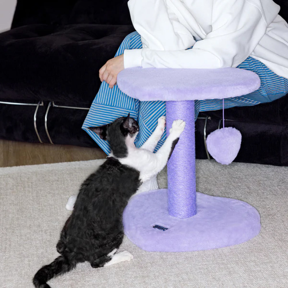 Heartpurrple Two Platforms Cat Tree - Image 9