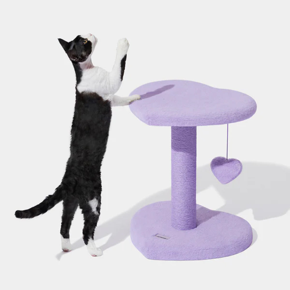 Heartpurrple Two Platforms Cat Tree - Image 10