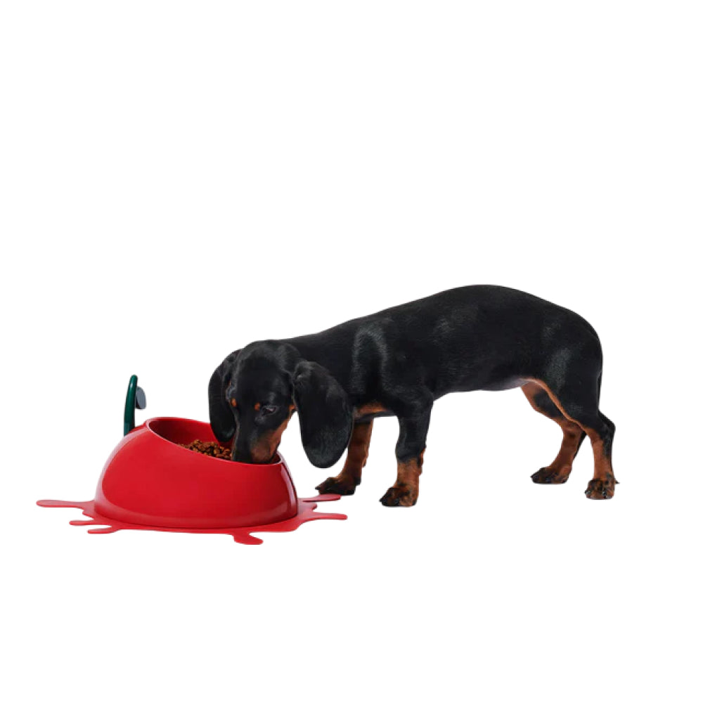Juicy Cherry Pet Bowl , Spoon & Mat Set - Image 5
