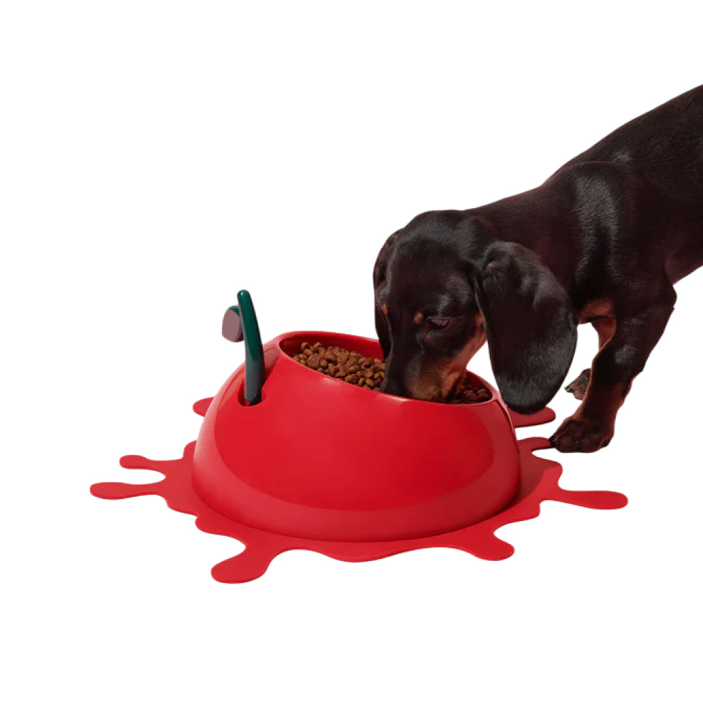 Juicy Cherry Pet Bowl , Spoon & Mat Set - Image 6