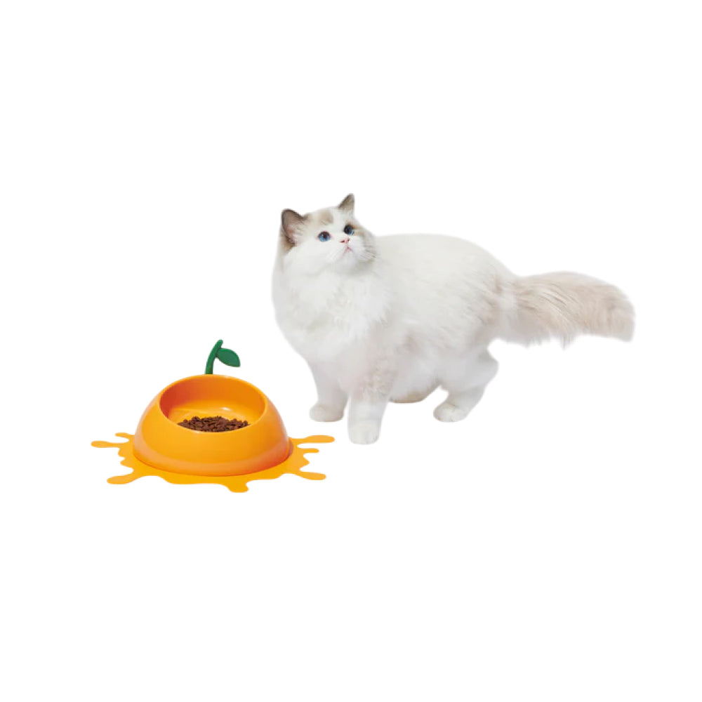 Juicy Tangerine Pet Bowl , Spoon & Mat Set - Image 8