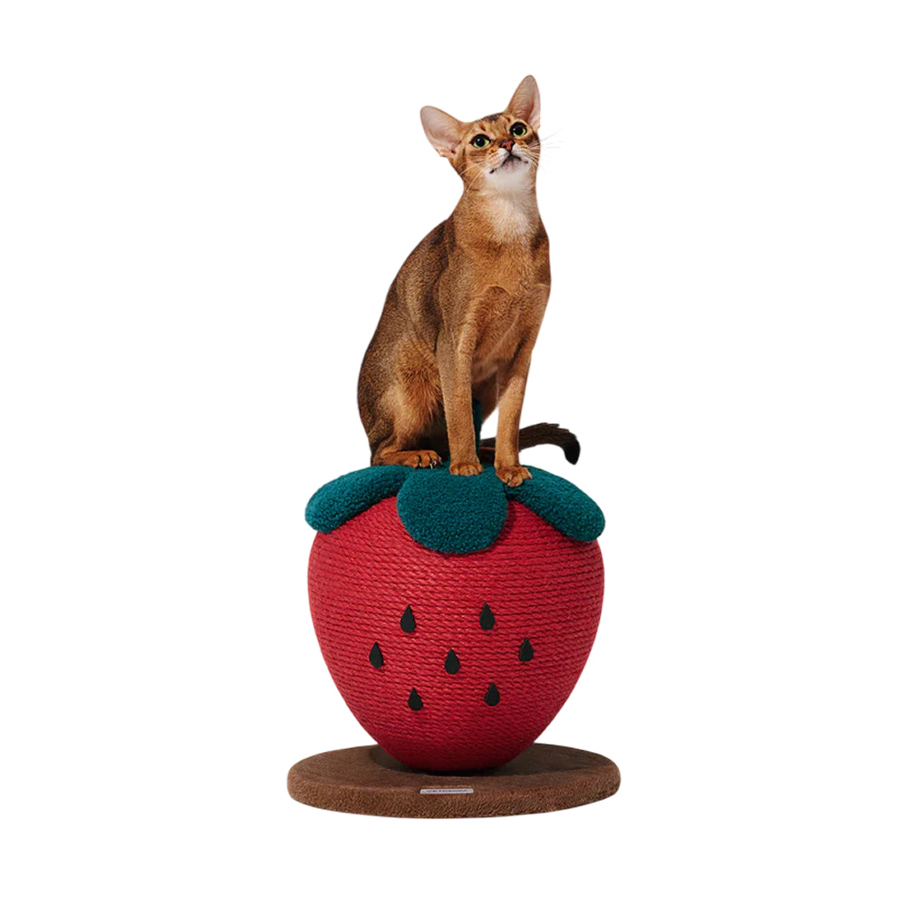 Strawberry Cat Scratching Ball - Image 3