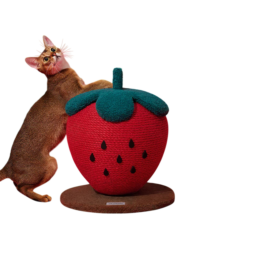 Strawberry Cat Scratching Ball - Image 5