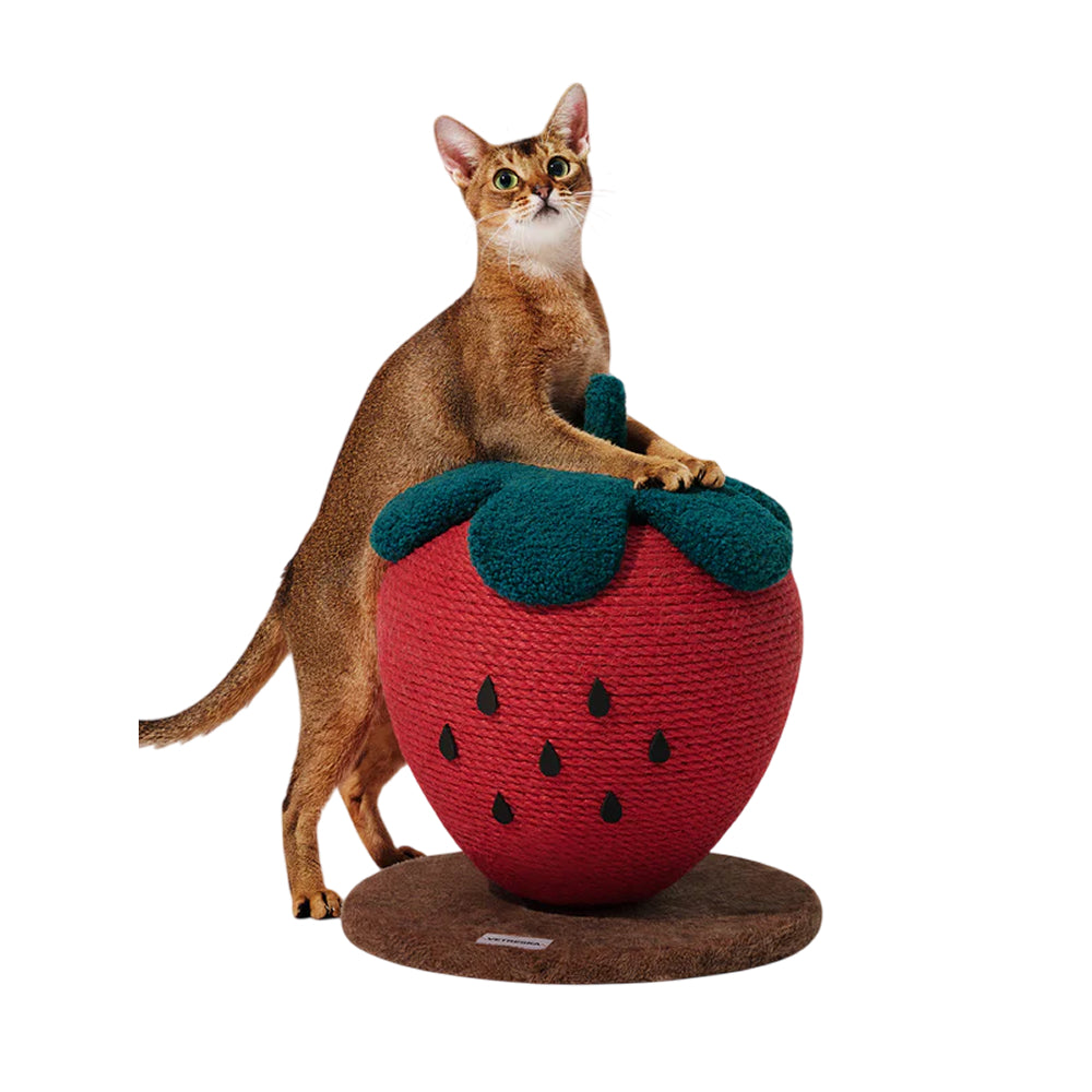 Strawberry Cat Scratching Ball - Image 6