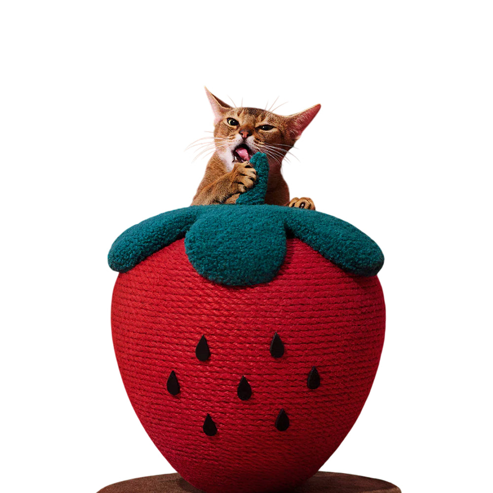Strawberry Cat Scratching Ball - Image 8