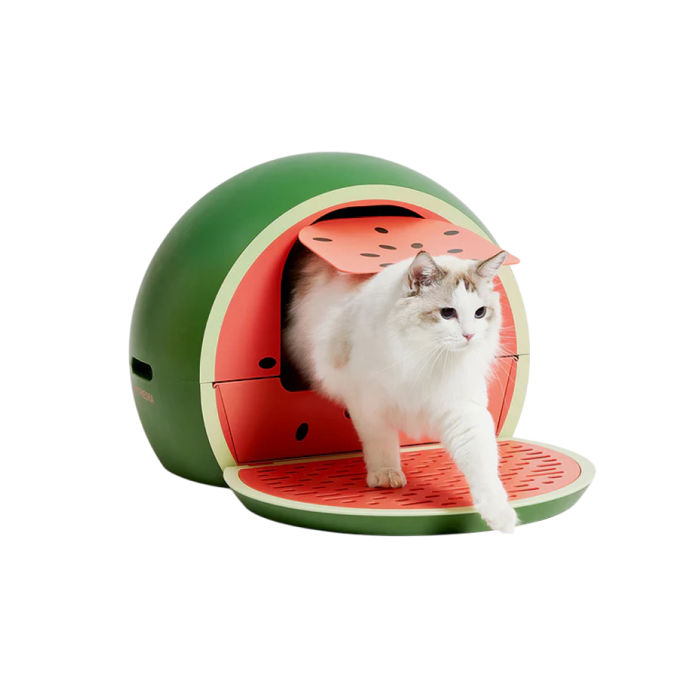 Watermelon Kitty Kove Litter Box - Image 6