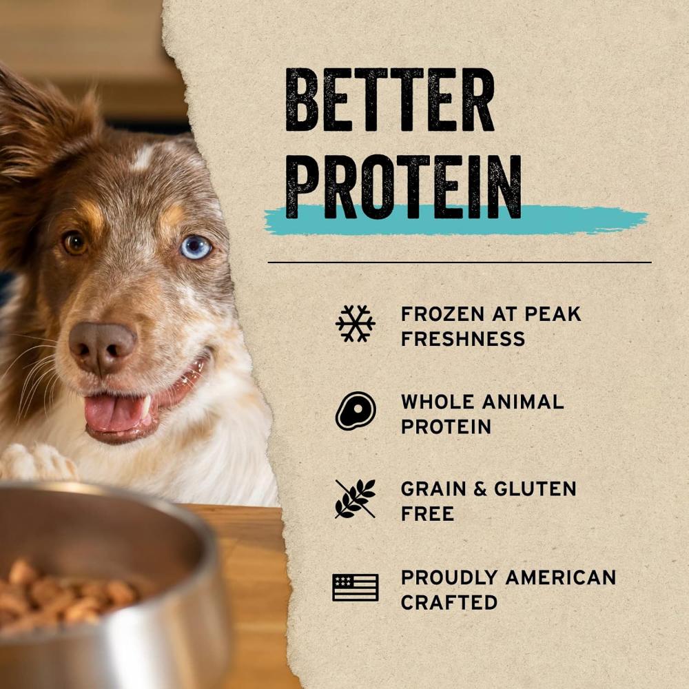 Freeze Dried Raw - Beef Entree Mini Nibs Dog Food - Image 3