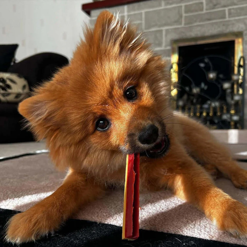 Fang Chews - Smoky Dental Treats for Dogs - Image 3