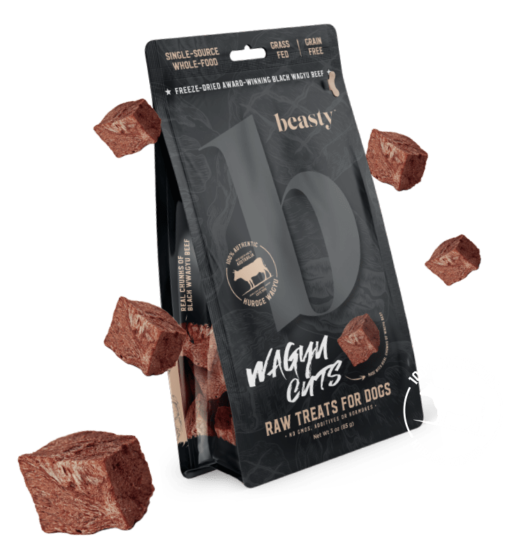 Freeze Dried Wagyu Cuts Dog Treats - Image 2