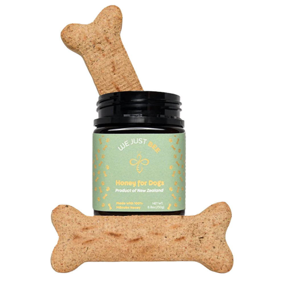 Manuka Honey MGO250+ for Dogs - Image 2