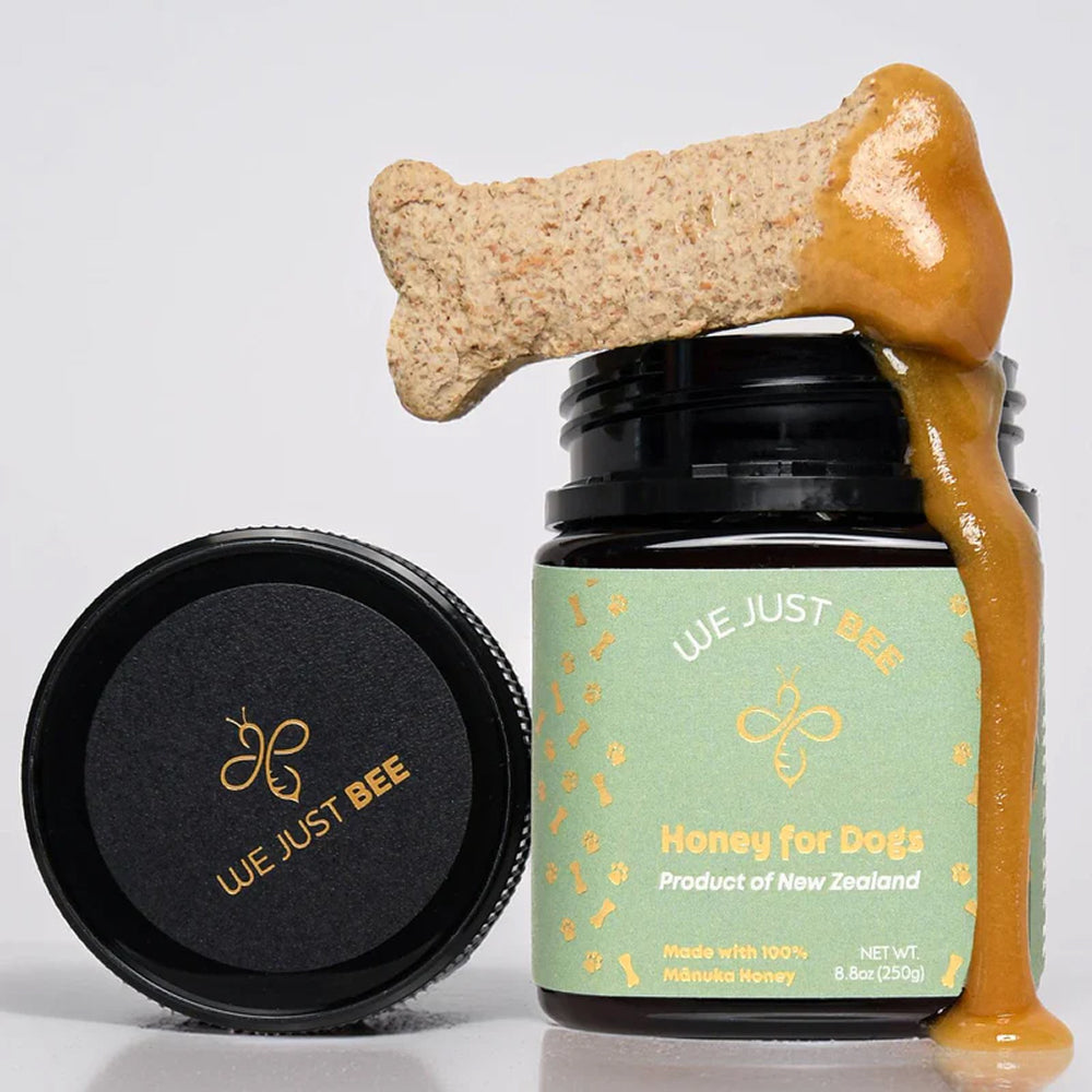 Manuka Honey MGO250+ for Dogs - Image 4