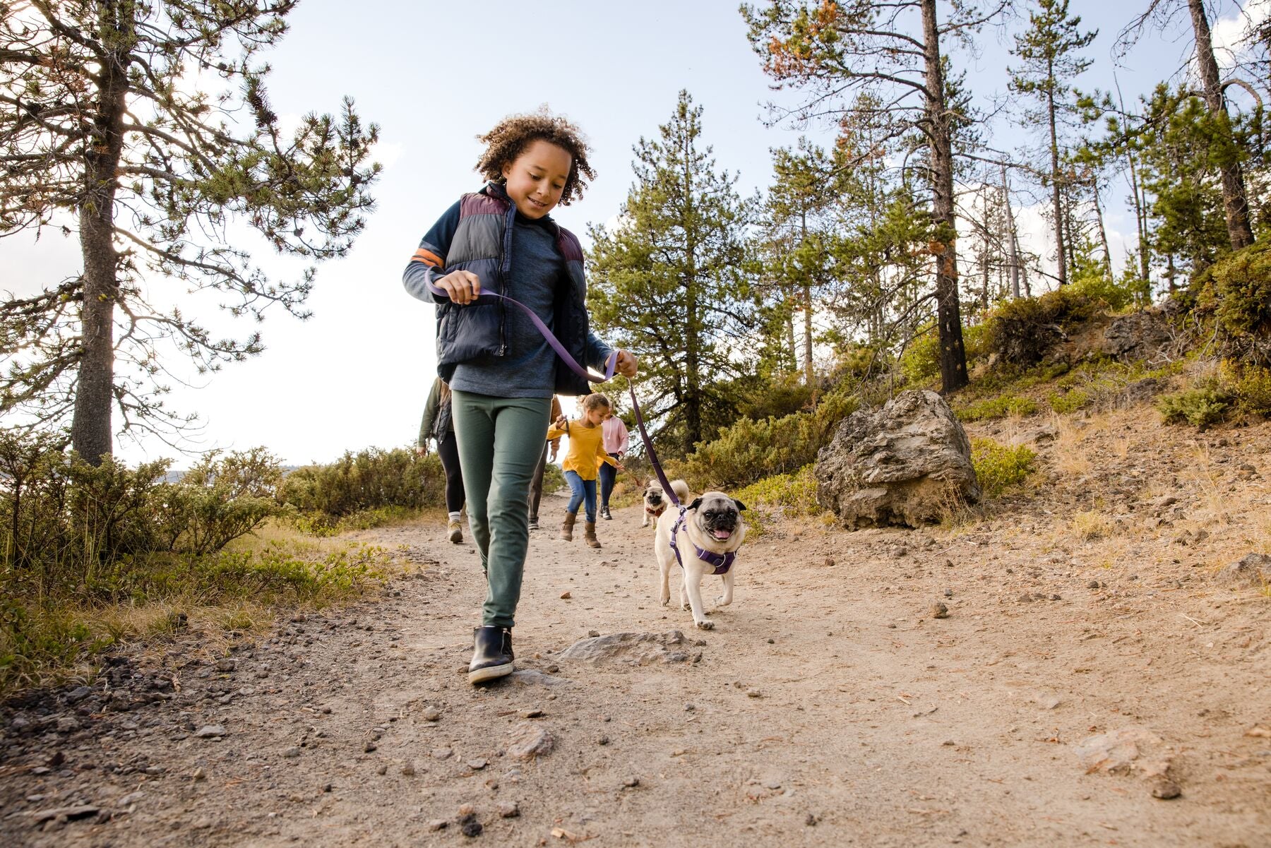 Front Range Dog Harness - Image 13