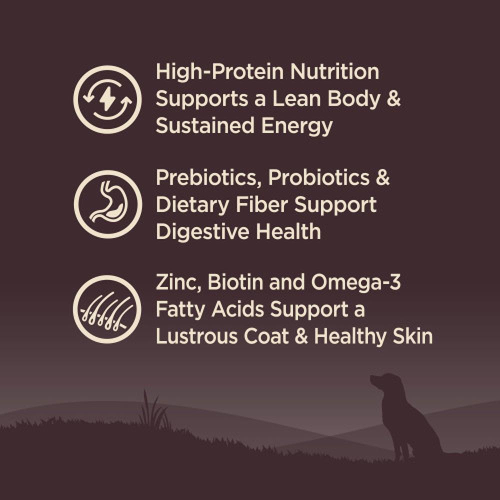 CORE Lamb Adult Dog Dry Food - Image 6