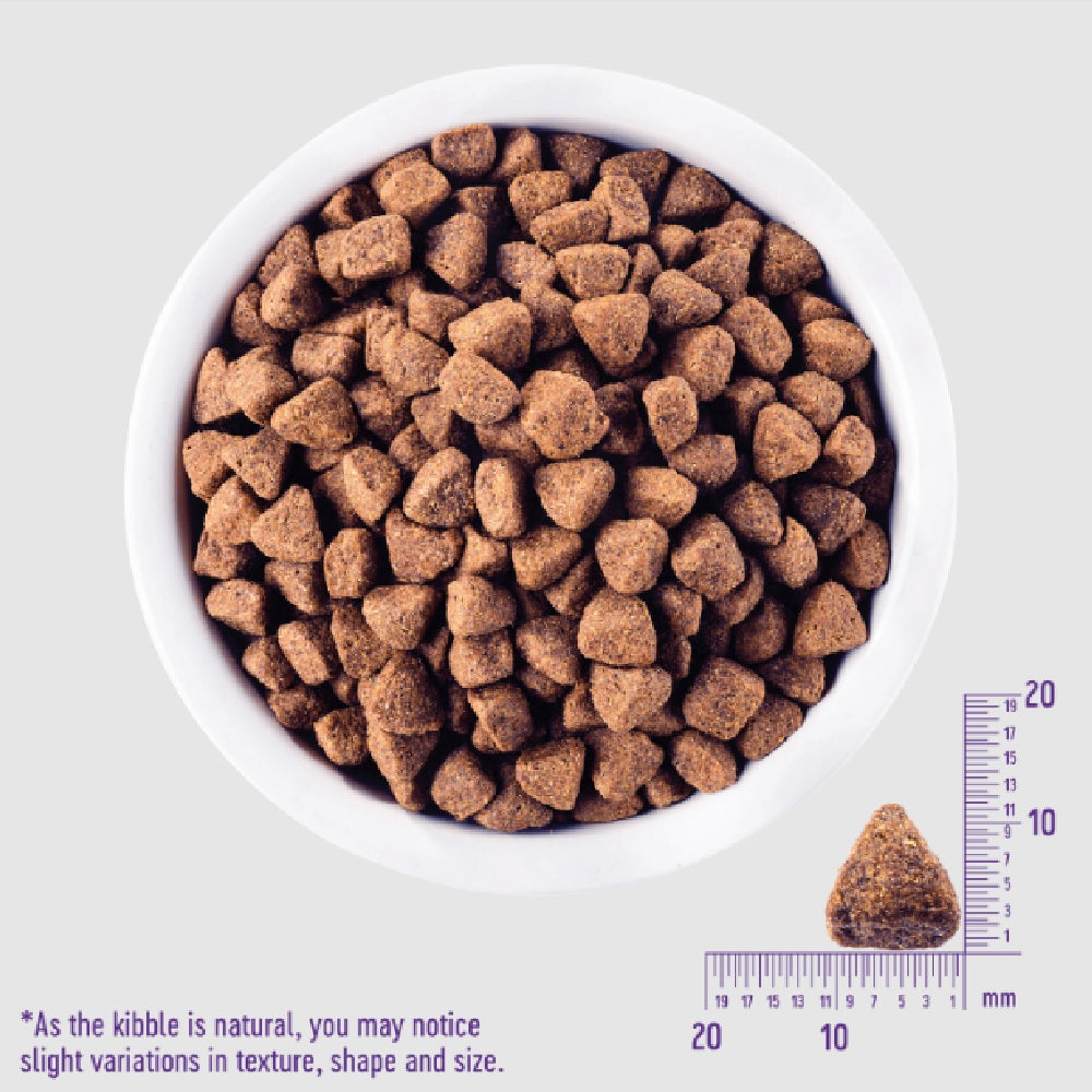 CORE Lamb Adult Dog Dry Food - Image 4