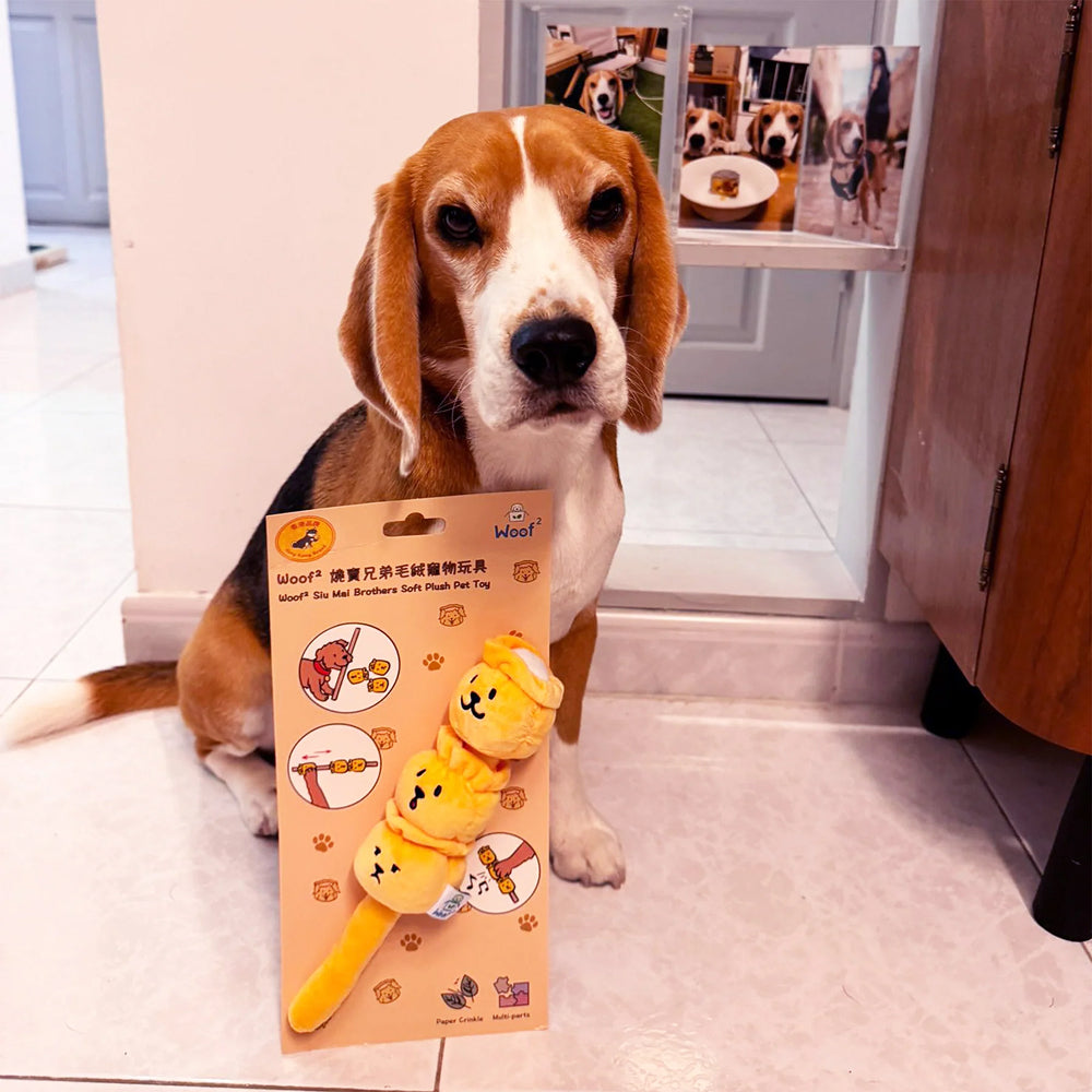 Siu Mai Brothers Plush Toy - Image 13