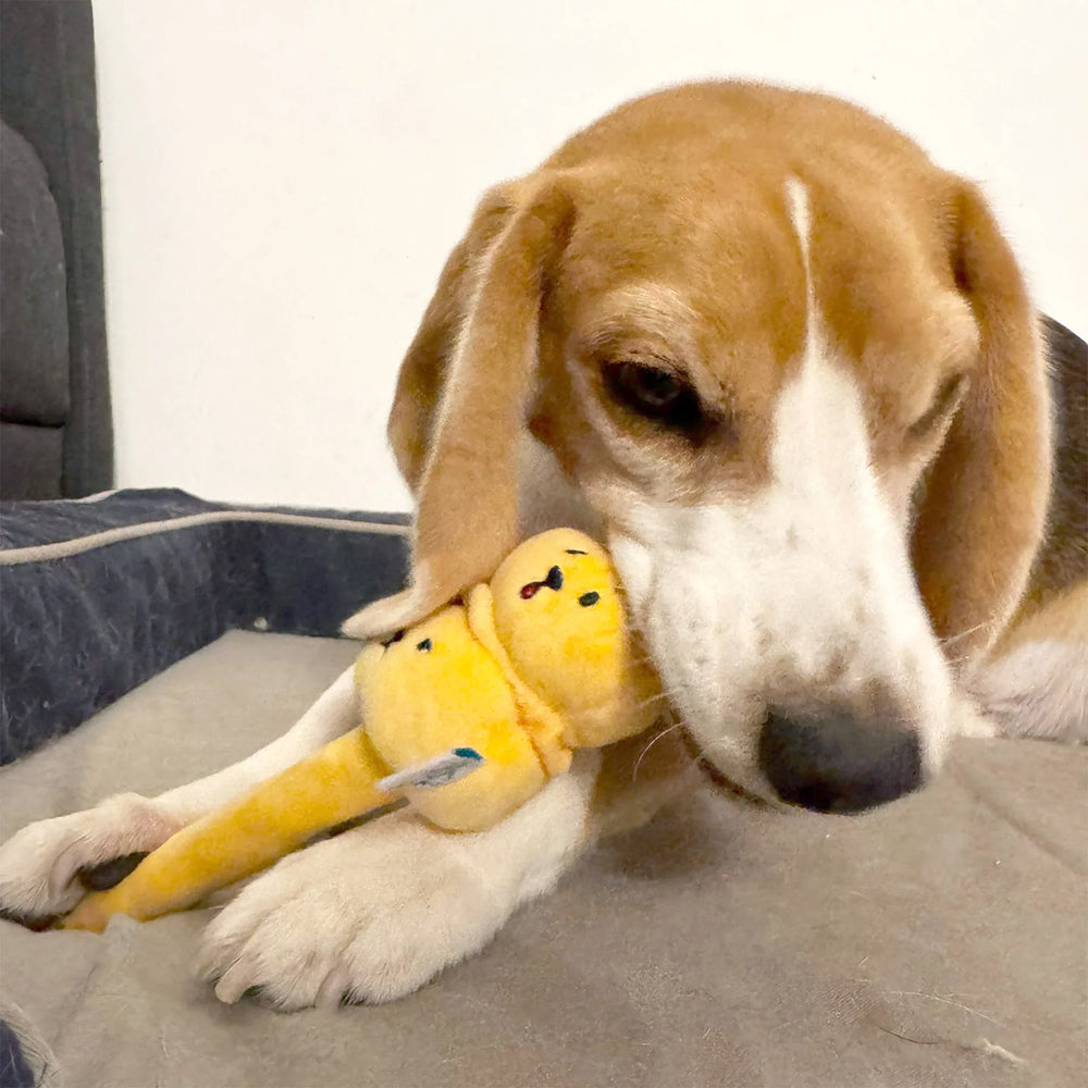 Siu Mai Brothers Plush Toy - Image 8