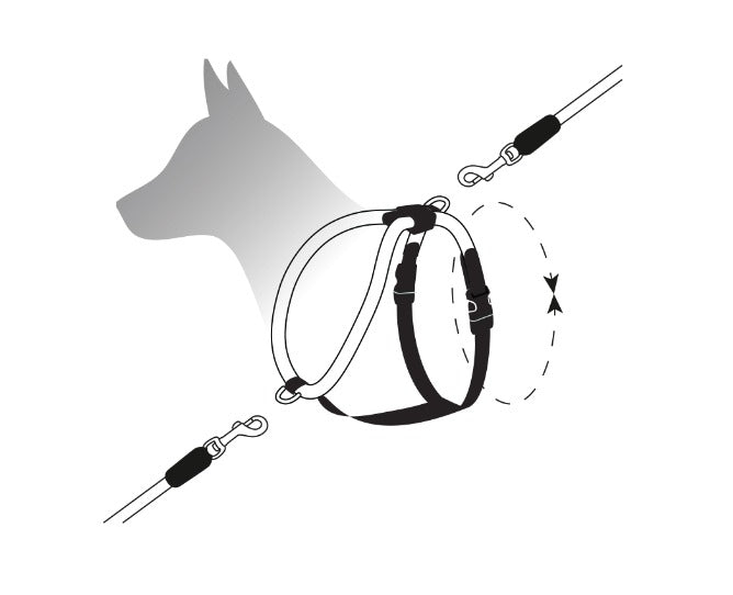 Leisure Rope Adjustable Dog Harness - Image 6