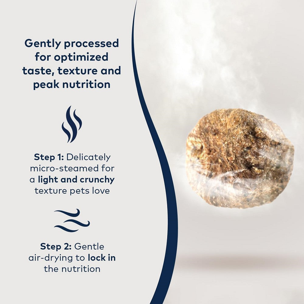 Steam & Dried - Grass-Fed Beef With Southern Blue Whiting Cat Food - Image 3