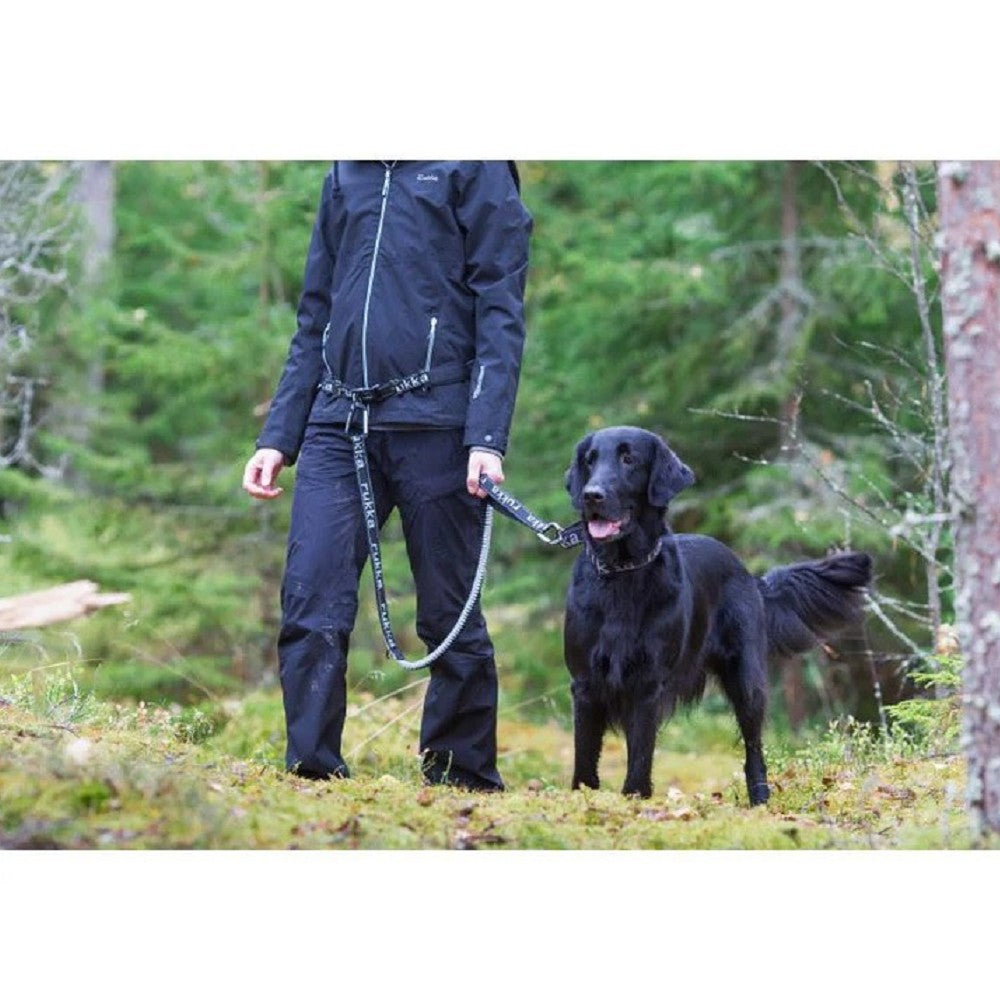 Running Belt and Dog Leash - Image 2