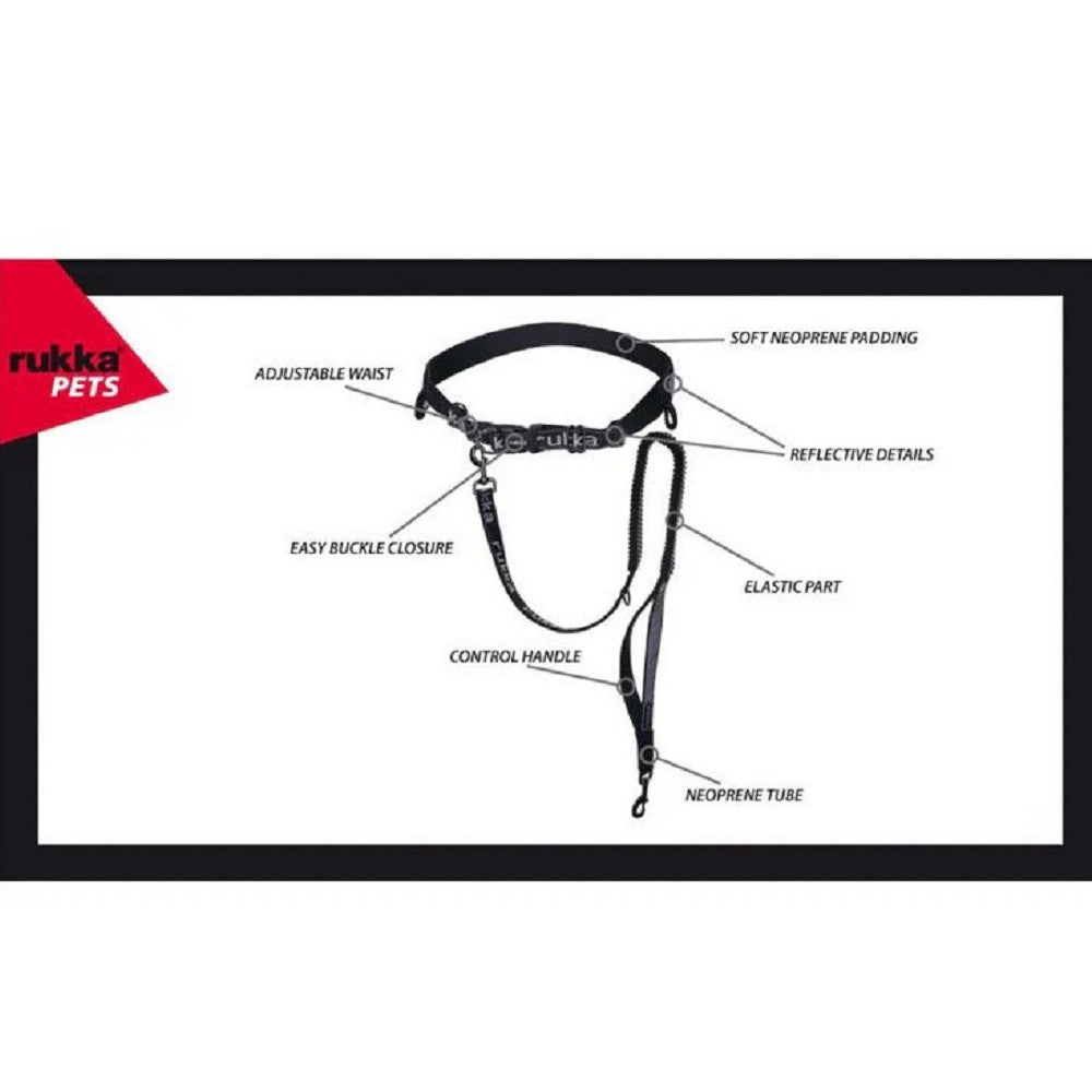 Running Belt and Dog Leash - Image 3