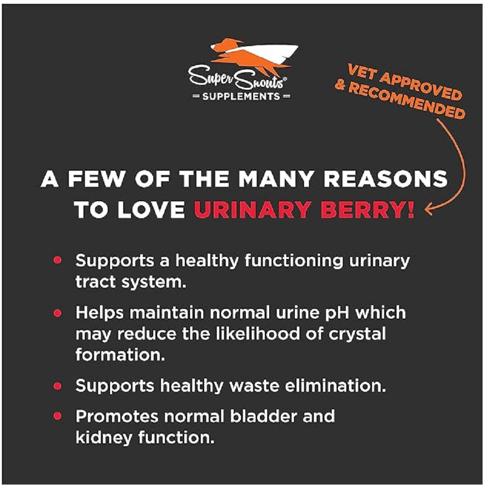 Urinary Berry Urinary Tract Powered Pet Supplement - Image 2