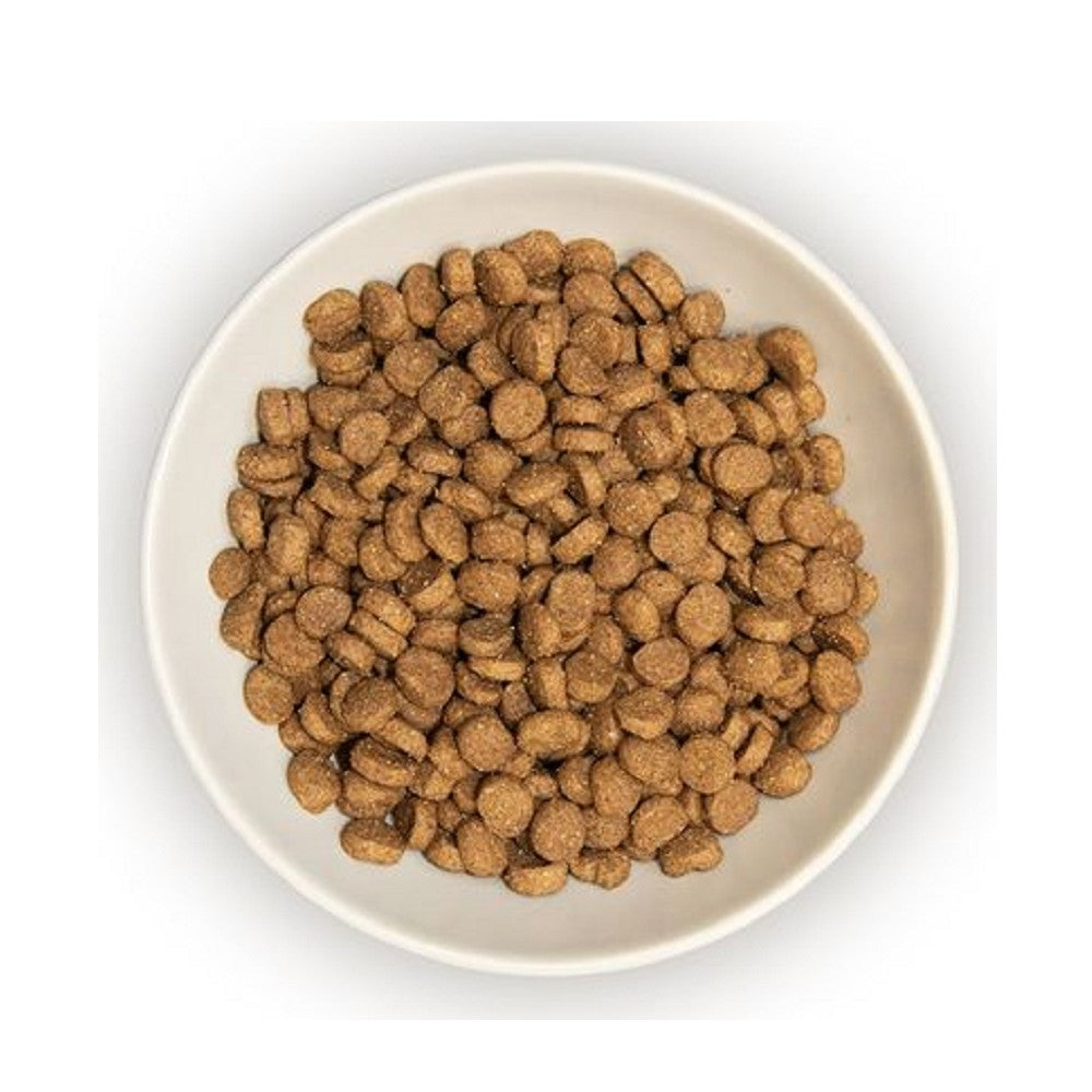 Kitten Chicken & Rice Cat Dry Food - Image 4