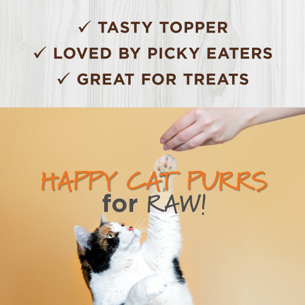 Raw Boost All Life Stages Freeze - Dried Digistive Health Raw Mixers For Cats - Image 5