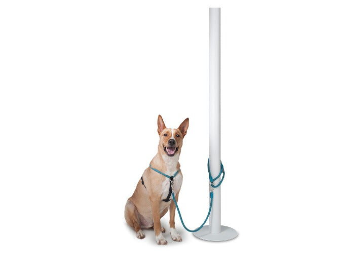 Leisure Rope Adjustable Dog Harness - Image 7