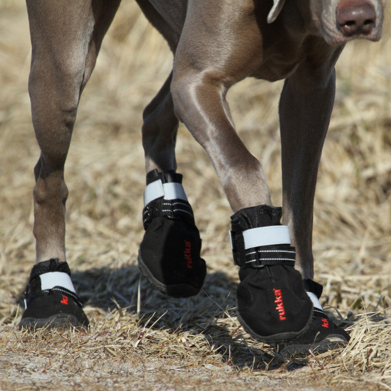 Proff Shoes - Image 2