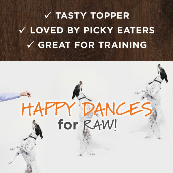 Raw Boost All Life Stages Freeze - Dried Gut Health Raw Mixers For Dogs - Image 6