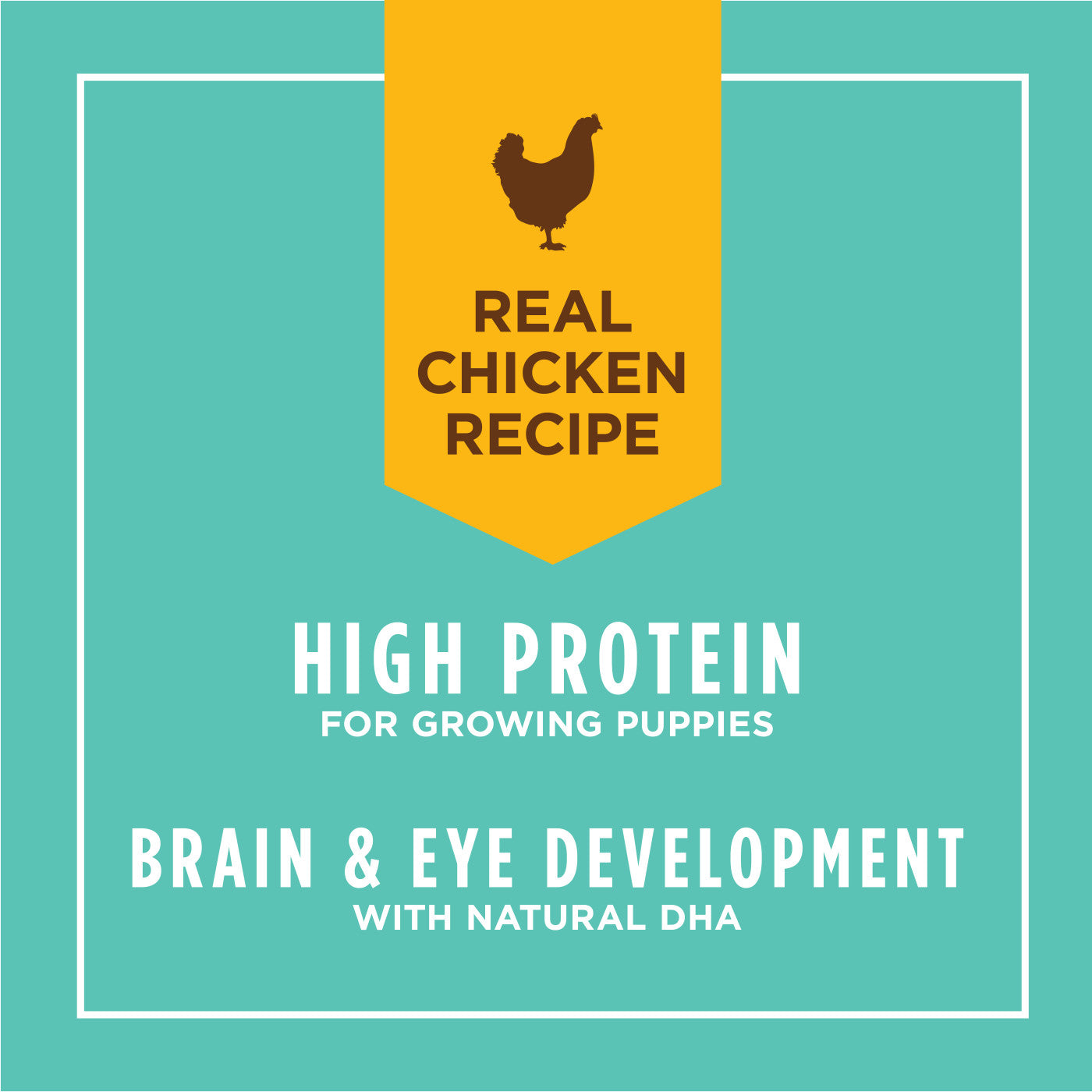 Original Grain Free Chicken Puppy Canned - Image 3