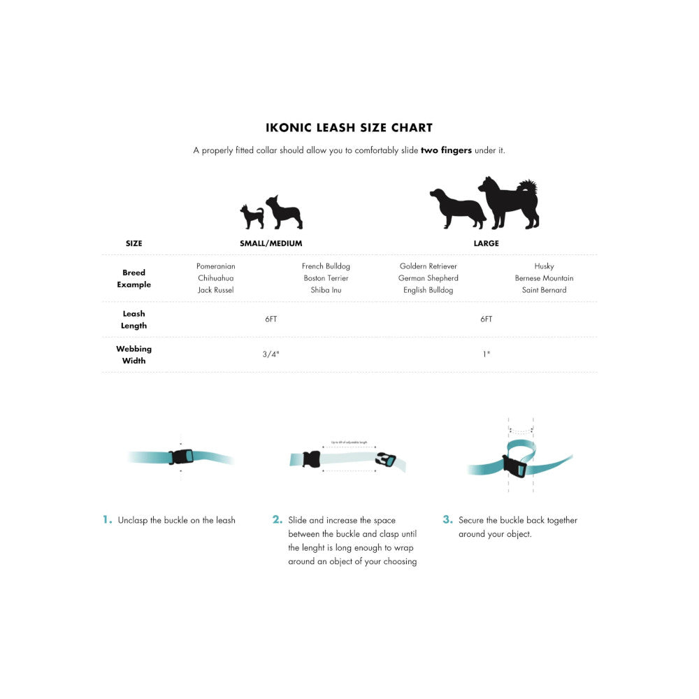 Aqua Waterproof Dog Leash - Image 15