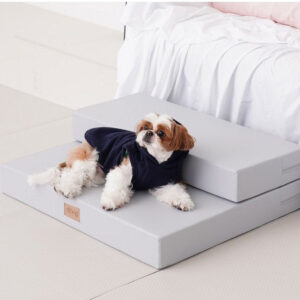 Wide Pet Play Step