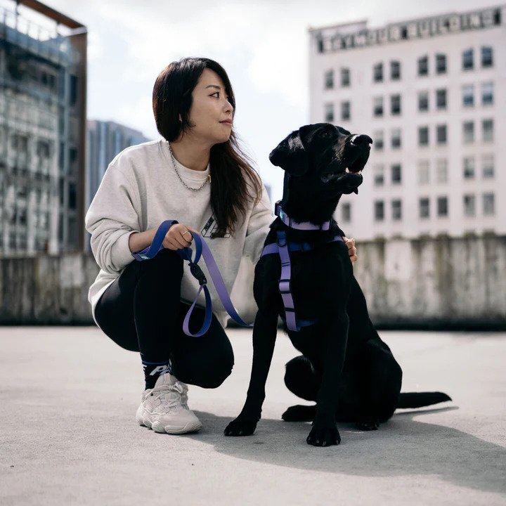 Aqua Waterproof Dog Leash - Image 12