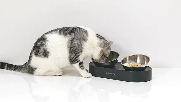 Nano Metal Stainless Cat Bowl - Image 3