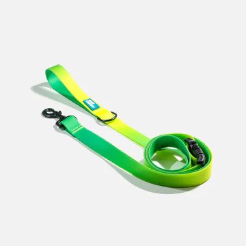 Aqua Waterproof Dog Leash - Image 6