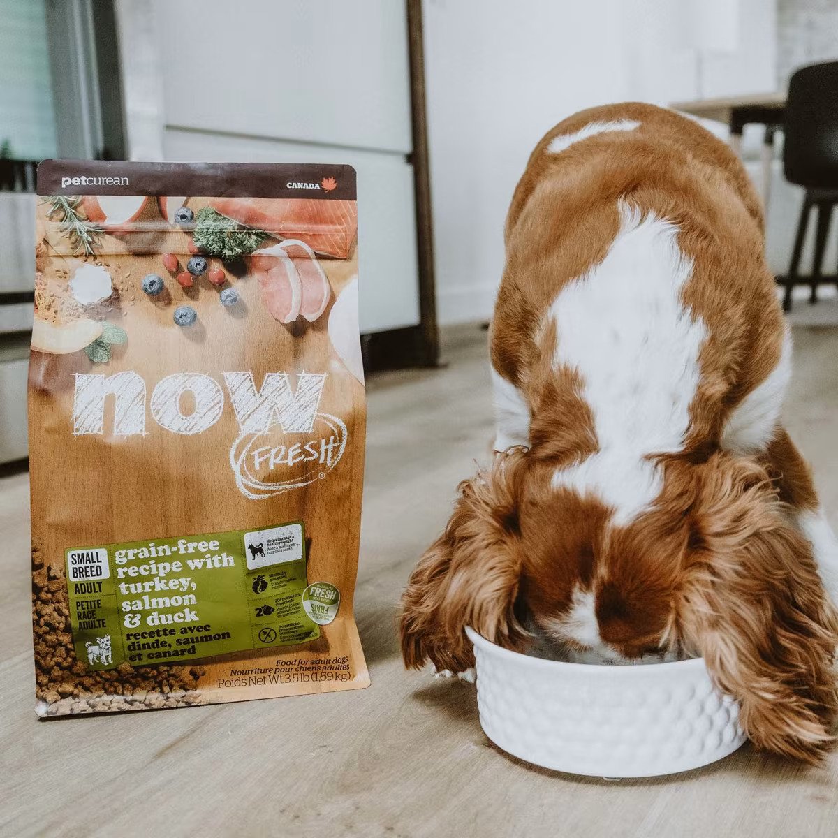 Adult Small Breed Grain Free Turkey Duck & Salmon Dog Dry Food - Image 3
