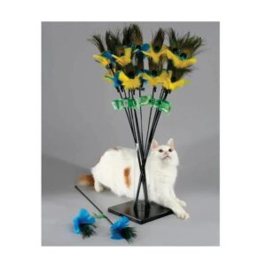 Peacock Feather toy