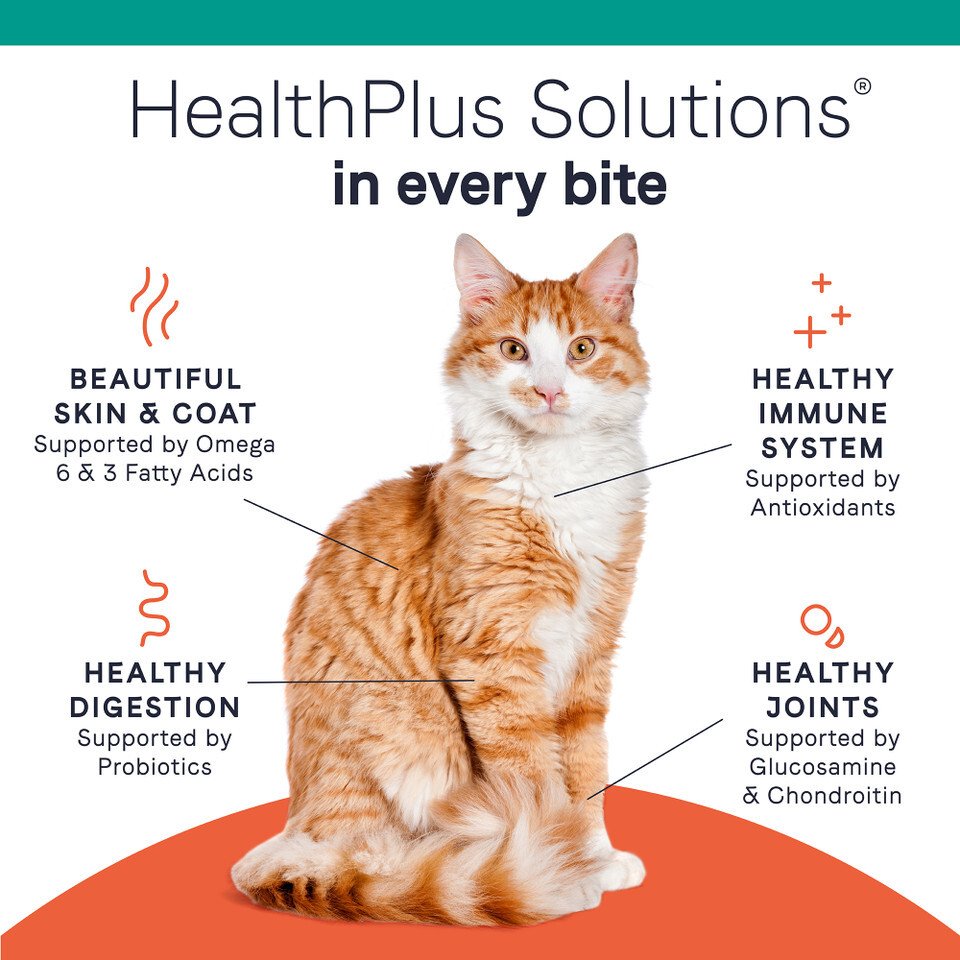 PURE Grain Free Cat Dry Food - Salmon - Image 5