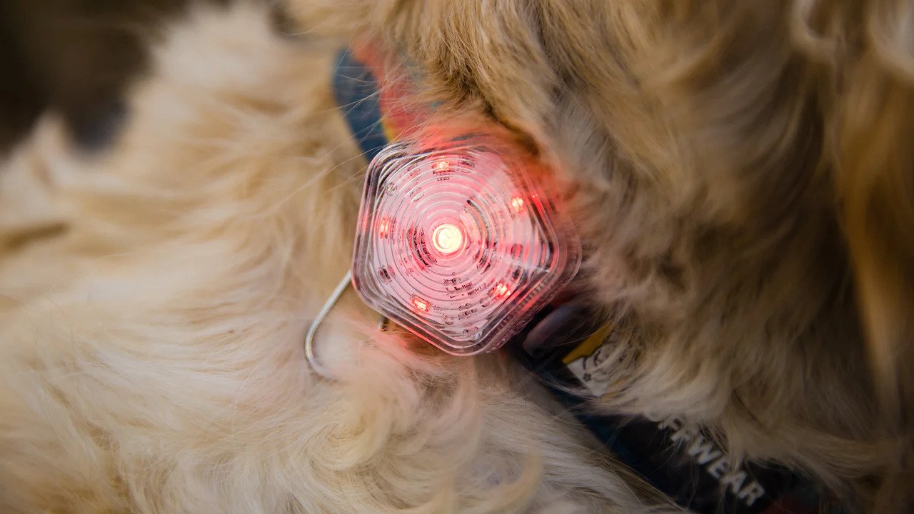 The Beacon Waterproof Light - Image 5