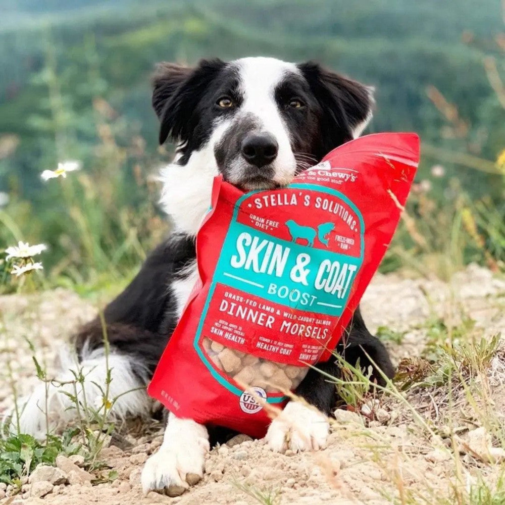 Stella's Solutions Skin & Coat Boost Freeze Dried Grass-Fed Lamb & Wild-Caught Salmon - Dinner Morsels Dog Food - Image 2