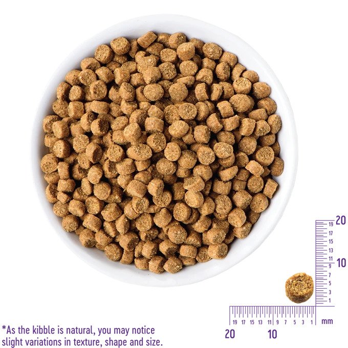 Complete Health Grained Chicken & Salmon Meal Puppy Dry Food - Image 6