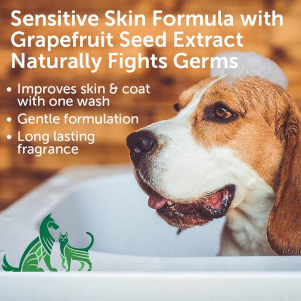 Skin & Coat Solution Cucumber Melon Shampoo for Dogs & Cats - Image 3