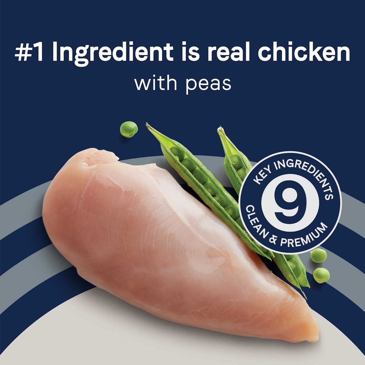 PURE Weight Management Grain Free Dog Dry Food - Chicken & Pea - Image 3