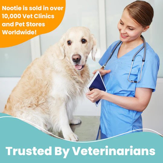 Antimicrobial Medicated Shampoo for Dogs & Cats - Image 6