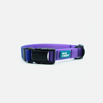 Ikonic Aqua Waterproof Dog Collar - Image 5