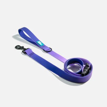 Aqua Waterproof Dog Leash - Image 5